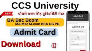 CCS University Admit Card 2026