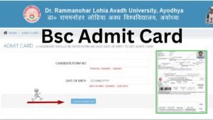Avadh University Admit Card 2026