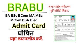 BRABU University Admit Card 2026