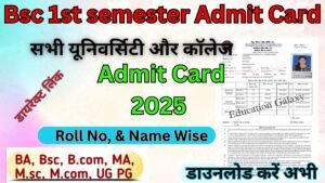 Bsc 1st semester Admit Card 2026