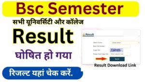 Bsc semester Result 2025