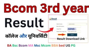 Bcom 3rd year Result 2024