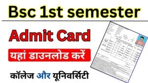 Bsc 1st semester Admit Card 2025