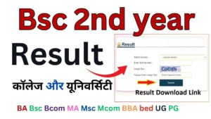 Bsc 2nd year Result 2024