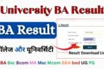 University BA Result