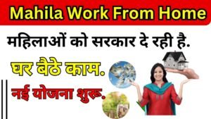 Mahila Work From Home Job Yojana Details