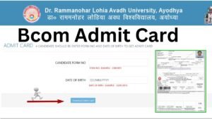 Avadh University Bcom Admit Card 2025