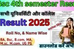 Bsc 4th semester Result 2026