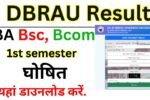 DBRAU 1st semester Result 2025