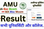 AMU Result 2025