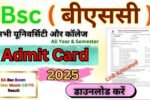 Bsc Admit Card 2026 Download