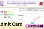 DU Admit Card 2025