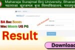 Brij University Result 2025