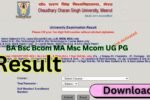 CCS University Result 2026