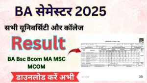 BA semester Result 2025