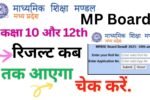 Madhya Pradesh Board result 2025